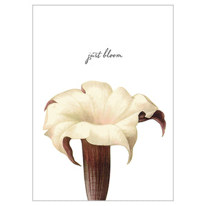 Botanical Postcards - Just Bloom