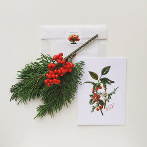 Holiday Greeting Cards - Noël Set of 3