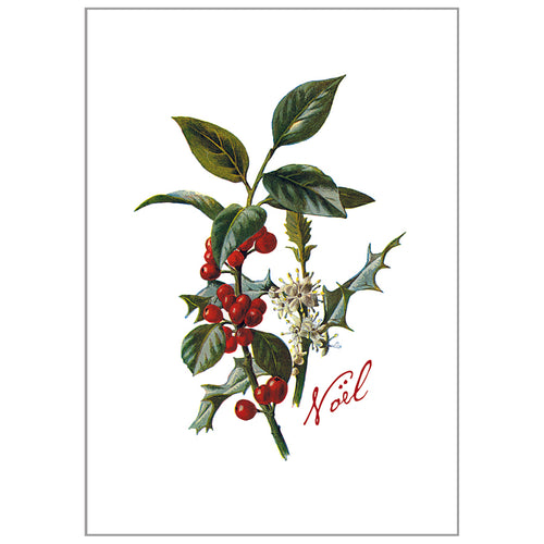 Holiday Greeting Cards - Noël